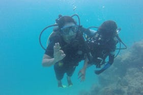 Experience Diving in Andaman and Nicobar Islands, India