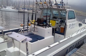 Enjoy Fishing Charter in Cape Town, Western Cape with Captain Gary