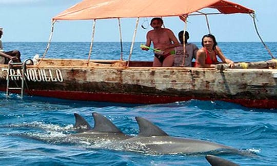 Experience Dolphin Tour in Zanzibar, Tanzania for 15 people