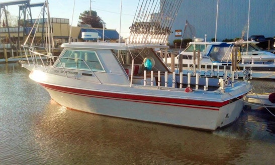 Exciting Fishing Trips On Lake Erie Aboard A 30' Fishing Vessel With Captain Dave In Ohio