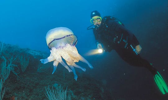 Diving at the Côte d´azur on bord of the Sir Robert Baden Powell