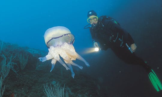 Diving at the Côte d´azur on bord of the Sir Robert Baden Powell