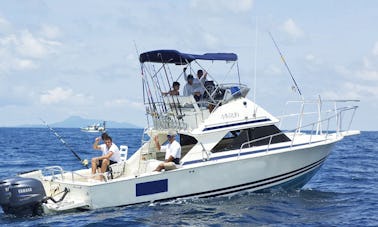 Location de pêche sur le yacht Bertram Flybrige de 30 pieds à Chicá, Panamá