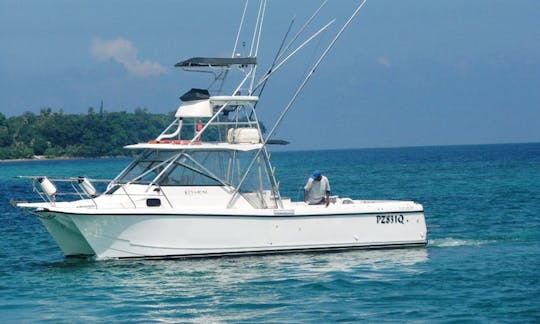 Captained Sport Fishing Charters From Port Vila