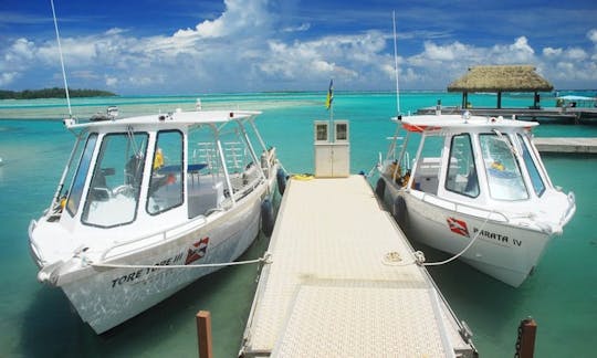 Dive Boat Ready In Moorea