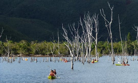 paddling through picturesque Drowned Forest