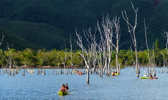paddling through picturesque Drowned Forest