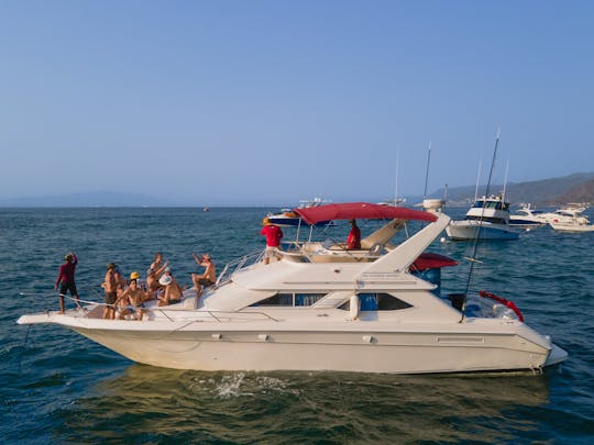 BAR.CO | Hermoso yate SeaRay de 44 pies para aquellos que buscan diversión y aventura.