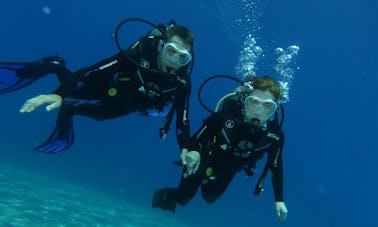 Discover the underwater world with diving in Eilat, Israel