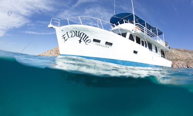 Private boat charter - scuba, snorkel, kayak, adventure