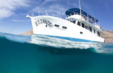Private boat charter - scuba, snorkel, kayak, adventure