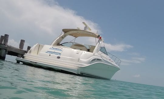 Luxury Private Yacht tours Cancun to Isla Mujeres  15 Pax Snorkeling &Fishing