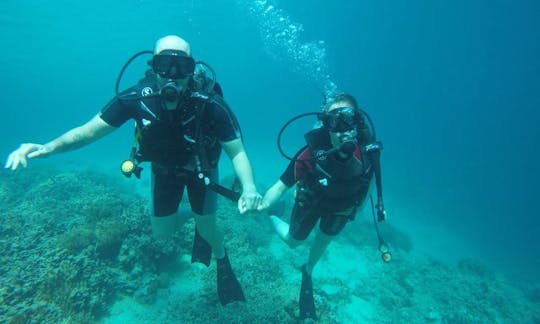 Discover the world of scuba diving in Gerokgak, Bali