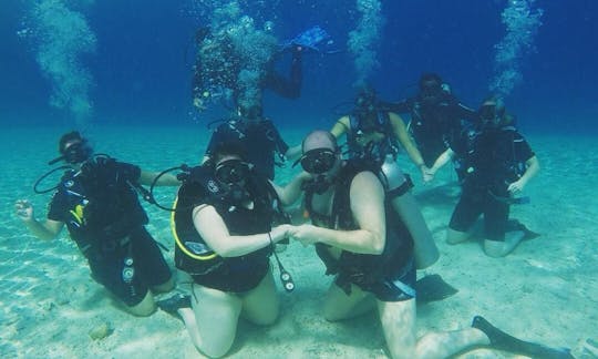 Discover the world of scuba diving in Gerokgak, Bali