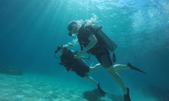 Discover the world of scuba diving in Gerokgak, Bali