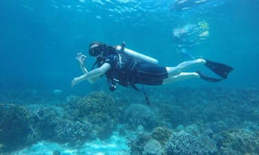 Discover the world of scuba diving in Gerokgak, Bali