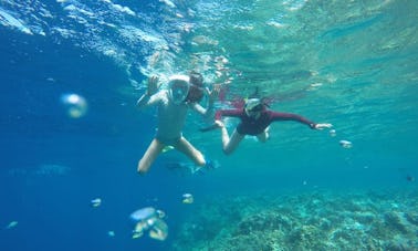 Desfrute de uma bela experiência de mergulho com snorkel em Gerokgak, Bali