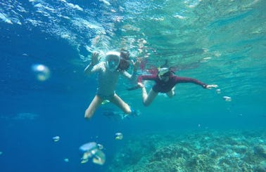 Enjoy beautiful snorkeling experience in Gerokgak, Bali