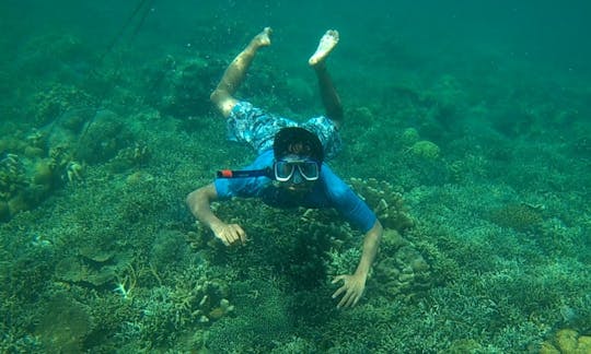 Maravillosa oportunidad para observar la vida submarina en Buleleng, Bali