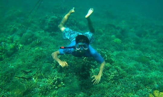 Wonderful opportunity to observe the underwater life in Buleleng, Bali