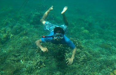 Wonderful opportunity to observe the underwater life in Buleleng, Bali