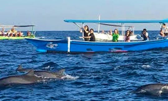 Have An Amazing Experience Of Dolphin Tour And Snorkeling In Lovina Bali