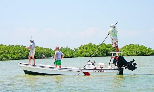 Carta de pesca em Caye Caulker