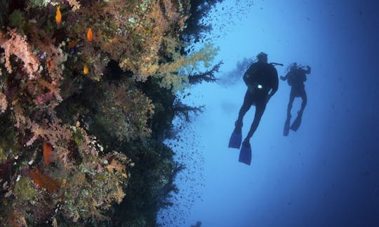 Disfrute de un barco de buceo diario en Sharm el Sheikh, Egipto