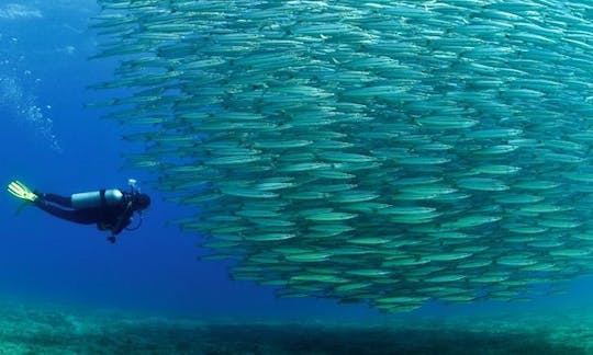 Disfrute de un barco de buceo diario en Sharm el Sheikh, Egipto