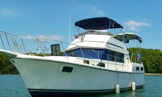 We Have Your Yacht, Captain, Sun And Fun .... Let's Go --- Plus The Sailboat's Included!