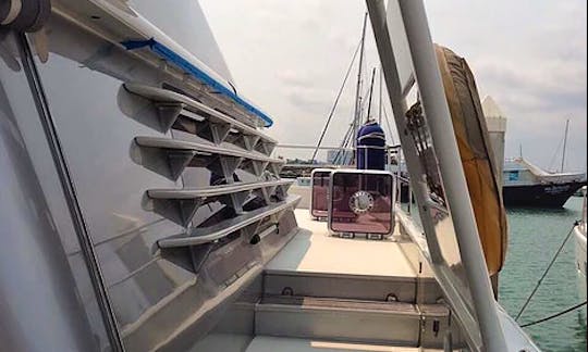 Power Catamaran "Superstar Lion" for charter in Chon Buri, Thailand