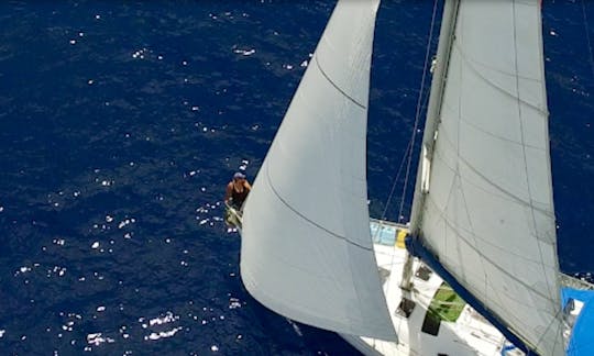 Charter 39' Oceanis 393 Cruising Monohull in Roatan, Honduras