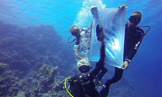 Enjoy Diving in Marsa Alam, Egypt