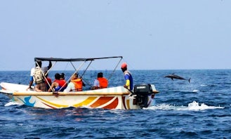 Enjoy Dolphin Tours in Kalpitiya, Sri Lanka