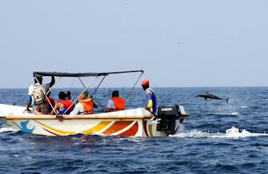 Enjoy Dolphin Tours in Kalpitiya, Sri Lanka