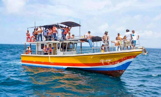 30-Pax Whale Watching Boat Tour in Mirissa