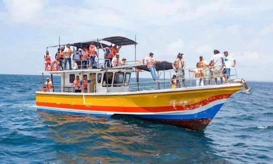 30-Pax Whale Watching Boat Tour in Mirissa