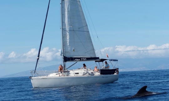 Gran Azor Cruising Monohull Rental in Adeje, Tenerife, Spain