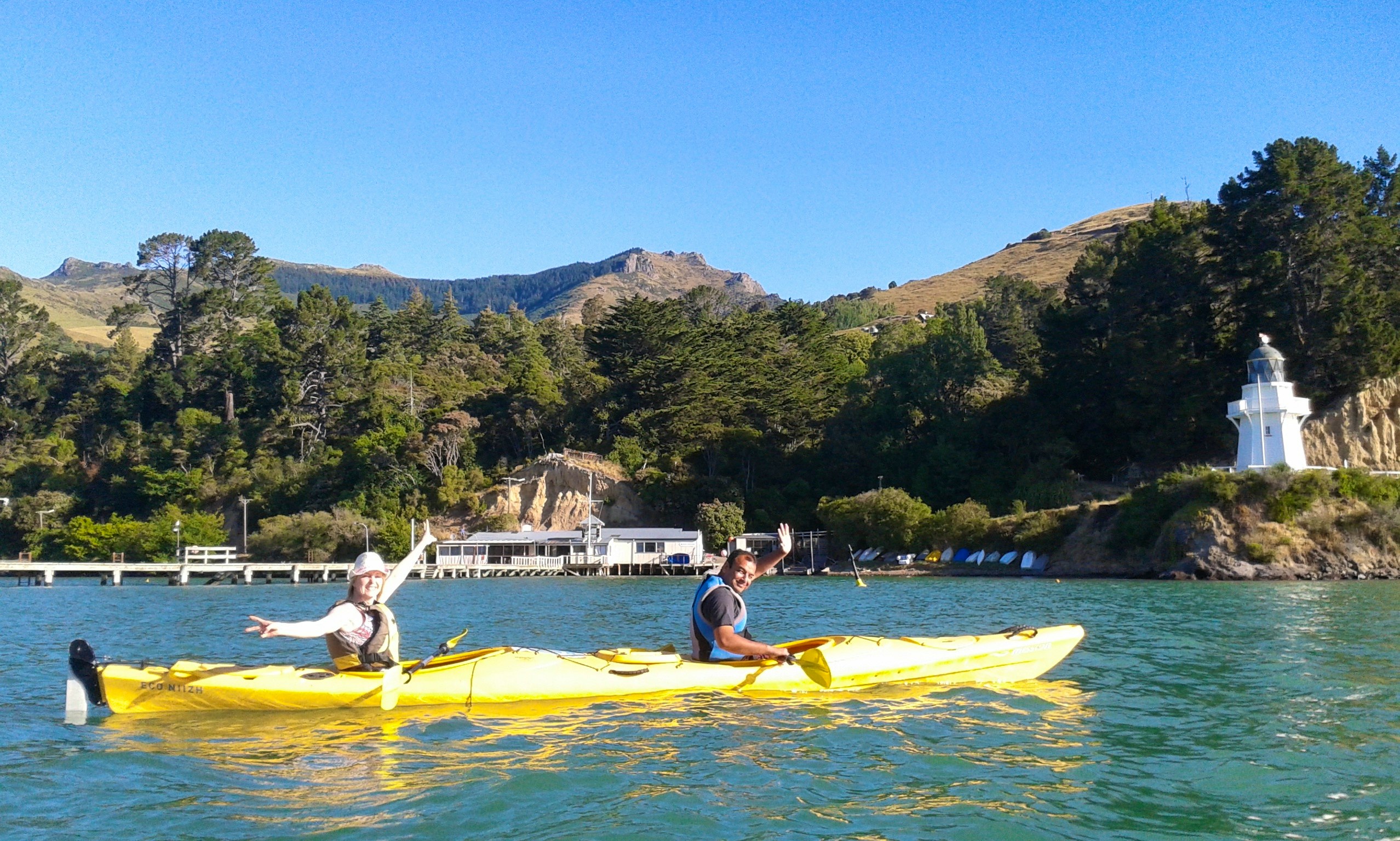 a great kayak adventure in akaroa, new zealand getmyboat