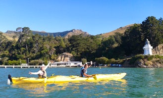 A Great Kayak Adventure in Akaroa, New Zealand
