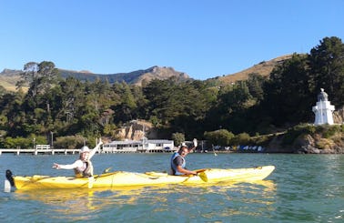 A Great Kayak Adventure in Akaroa, New Zealand