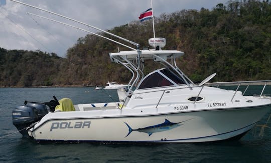 Exciting Fishing or Pleasure Adventure in Herradura, Costa Rica!