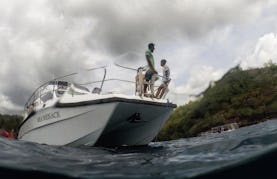 Charter a power catamaran in Denpasar, Bali for Spearfishing