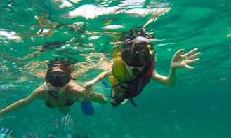 Discover the beauty of underwater life with snorkeling in Denpasar, Bali