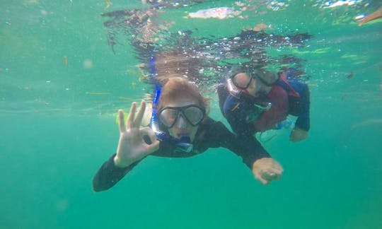 Discover the beauty of underwater life with snorkeling in Denpasar, Bali