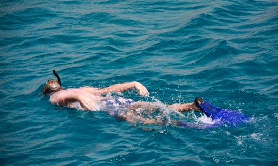 Enjoy full day snorkeling trip in Aqaba, Jordan aboard Yasmena