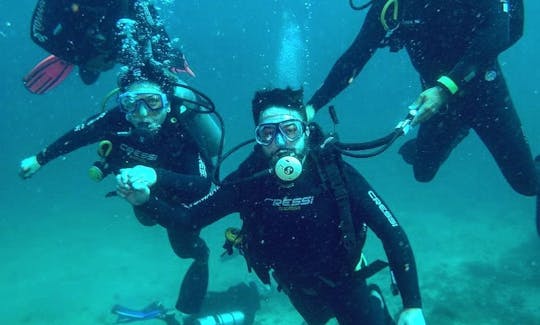 Open Water Diving Trip in Rio de Janeiro, Brazil