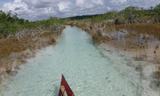 ラグーナバカラル、バカラール、キンタナロー、メキシコのカヤックツアー