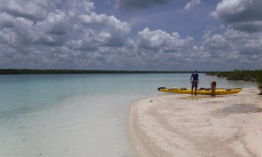 Excursion en kayak à Laguna Bacalar, Bacalar, Quintana Roo, Mexique