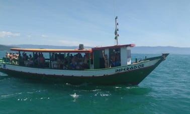 Carta de pesca em São Sebastião, Brasil, por 10 horas!